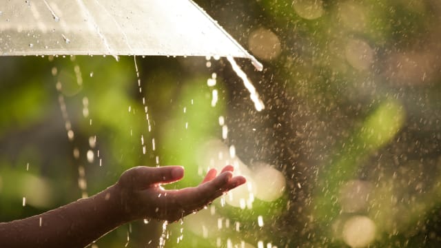 我国本月头两周将迎来雷阵雨天气