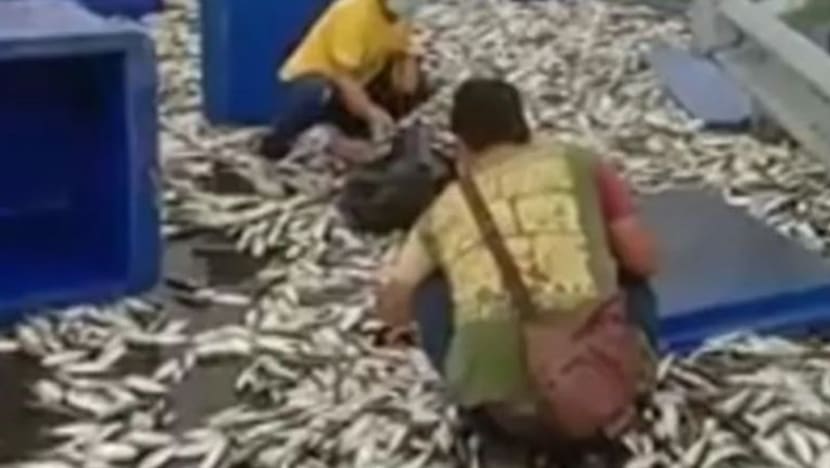 Lori terbalik, 4 tan ikan kembung bertaburan di jalan