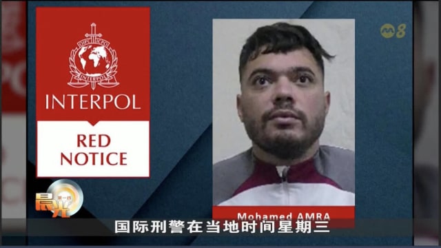 国际刑警发出红色通缉令 捉拿法国逃犯阿姆拉