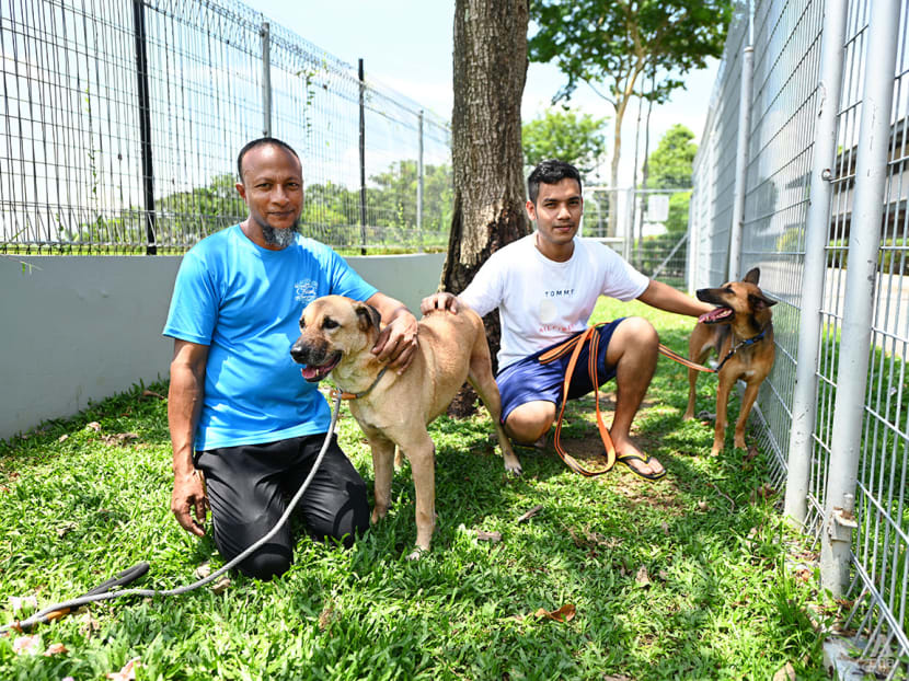 ‘Dogs happy, we’re also happy’: Meet the 2 Bangladeshi workers caring for rescue dogs at a Singapore shelter