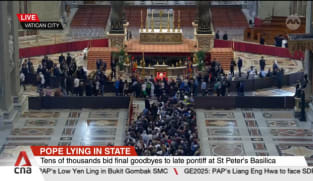 Pope Francis' coffin arrives at St Peter's Basilica for three days of public viewing