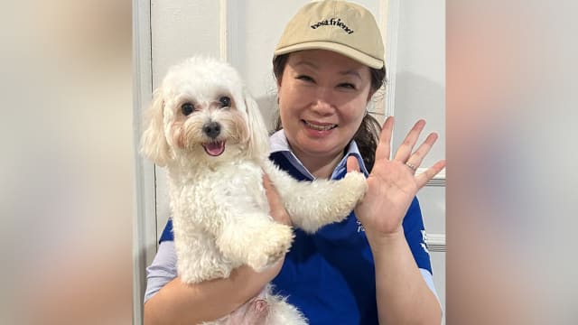 女护士照顾临终病患 也让宠物成为治疗犬