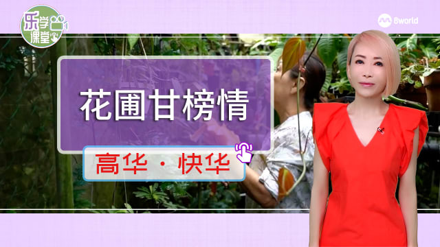 【高华快华】星期二特写 | 棚下的精彩：棚下甘榜情