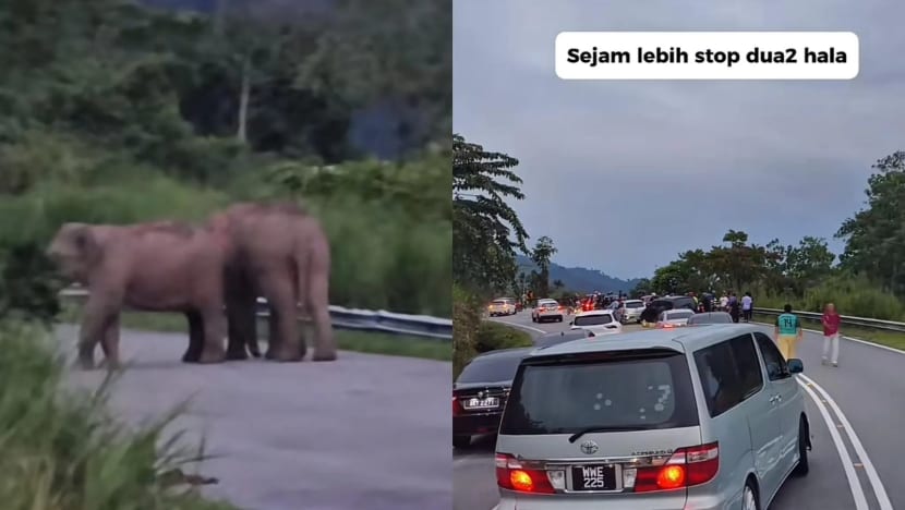 Gambar Pilihan Hari Ini