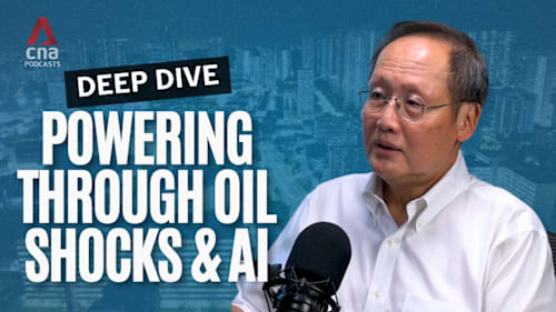 Deep Dive - Singapore's fuel stockpile for electricity 'enough to last for months' in a crisis: Tan See Leng