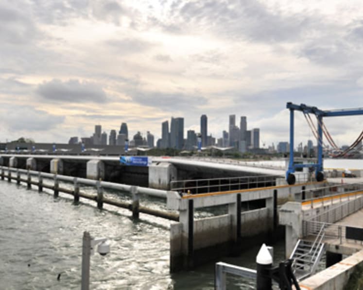 Commentary: This new Ministry of Sustainability and Environment looks pretty promising