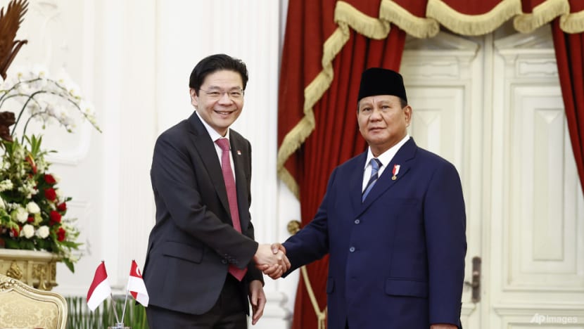 PM Wong to meet Indonesian President Prabowo during introductory visit to Jakarta PM Wong to meet Indonesian President Prabowo during introductory visit to Jakarta