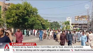 At least nine dead, over 200 injured as cost-of-living protests in Kashmir turn violent