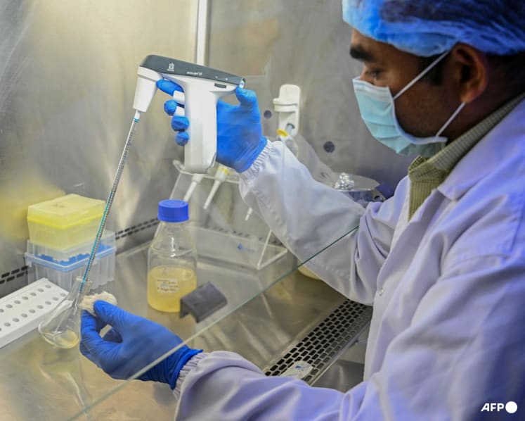 ‘AI lowers the capital needed’: India’s drug discovery push faces test of human trials