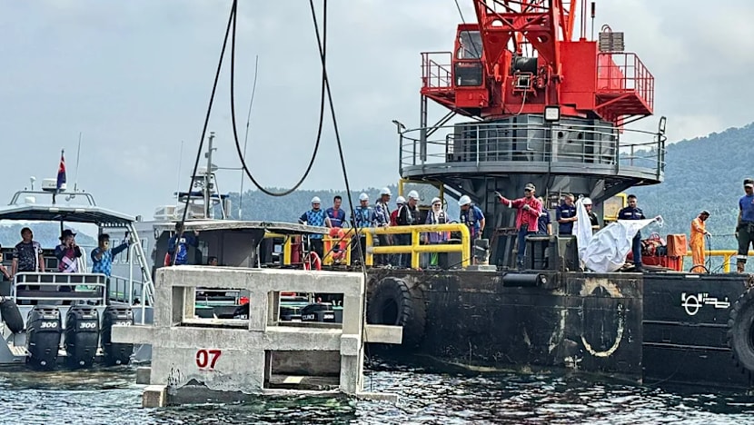30% spesies karang di Mersing 'hampir terancam': Jabatan Perikanan Johor