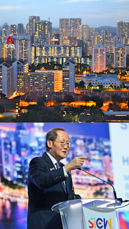 'We will never let the lights go out': Tan See Leng on energy prices