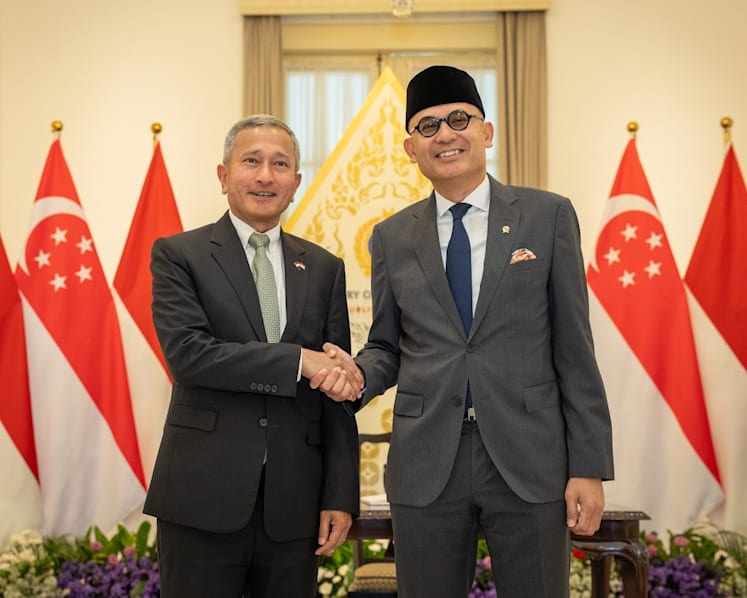 Singapore, Indonesia setting up joint task force to probe firms linked to forest fires; hotlines to manage differences