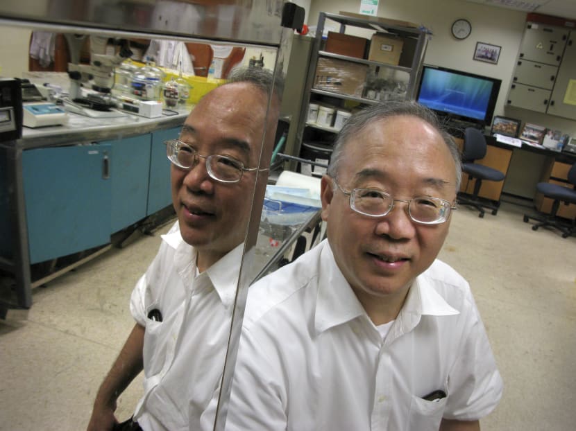 ‘To do research, you have to be crazy’: NUS scientist
