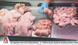 Singapore's frozen chicken supply unlikely to be affected by Brazil bird flu outbreak
