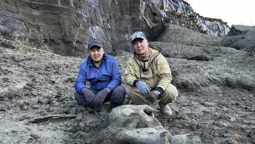 Young mammoth remains found nearly intact in Siberian permafrost