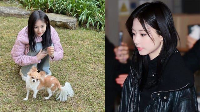 TWICE周子瑜遭JYP打压？爆节目、戏剧、代言邀约一律被打枪