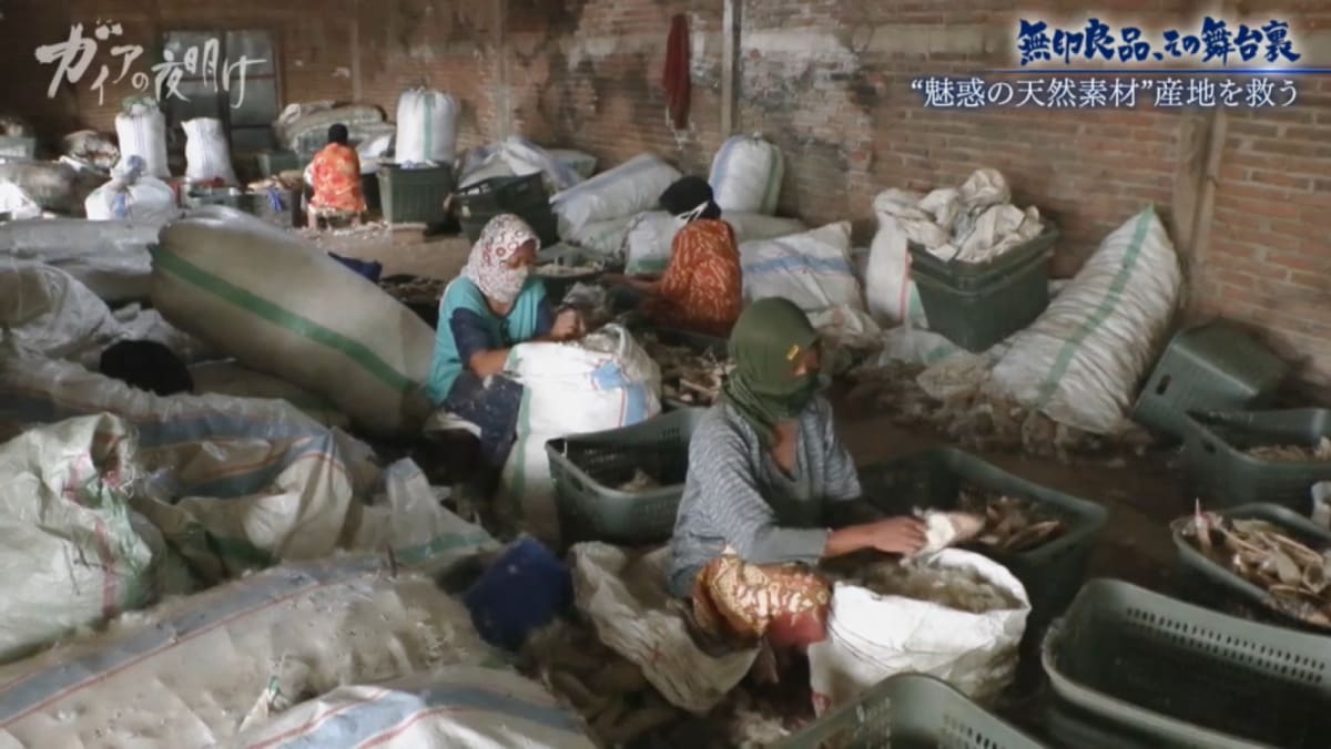 Gaia Series 98: MUJI, Behind the Scenes