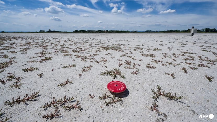 Climate change to blame for intensity of Europe heatwave: Scientists