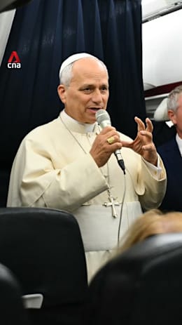 AI safety concerns not 'fake news': Pope Leo