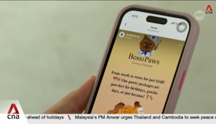 Police investigating allegations against pet food business Bossipaws for alleged SkillsFuture scam