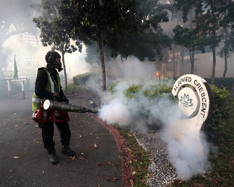 S'pore sees first case of pregnant woman with Zika, local cases jump to 115