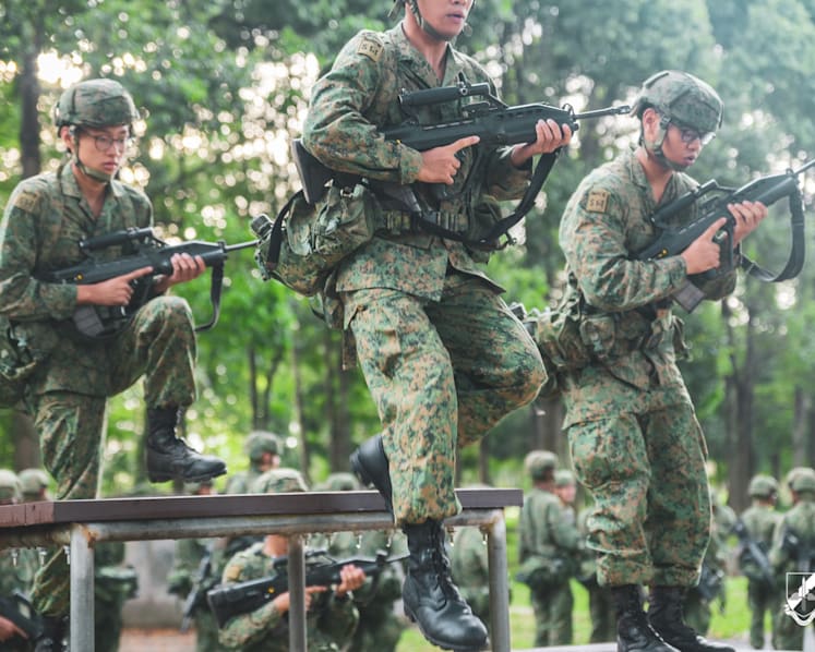 70% of NSFs assigned to vocation they indicated interest in; 'not practical' for scheme to be extended to NSmen 