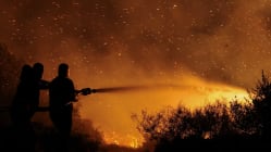 Related article image