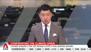 Climate analysts in the US are observing a shift in how activists mobilise