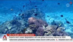 UN Ocean Conference: Only 8% of world's ocean protected