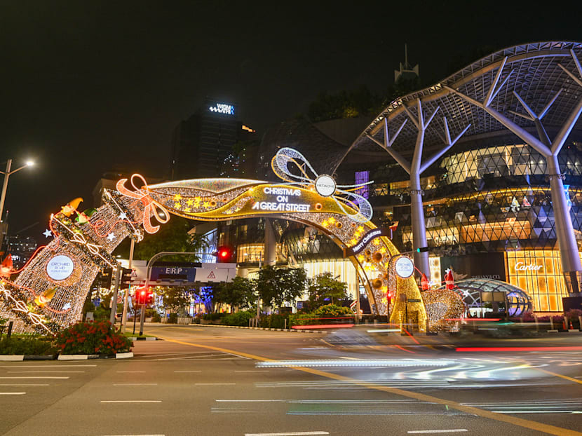 What to do in Singapore this December: Art, nature, events and staycations