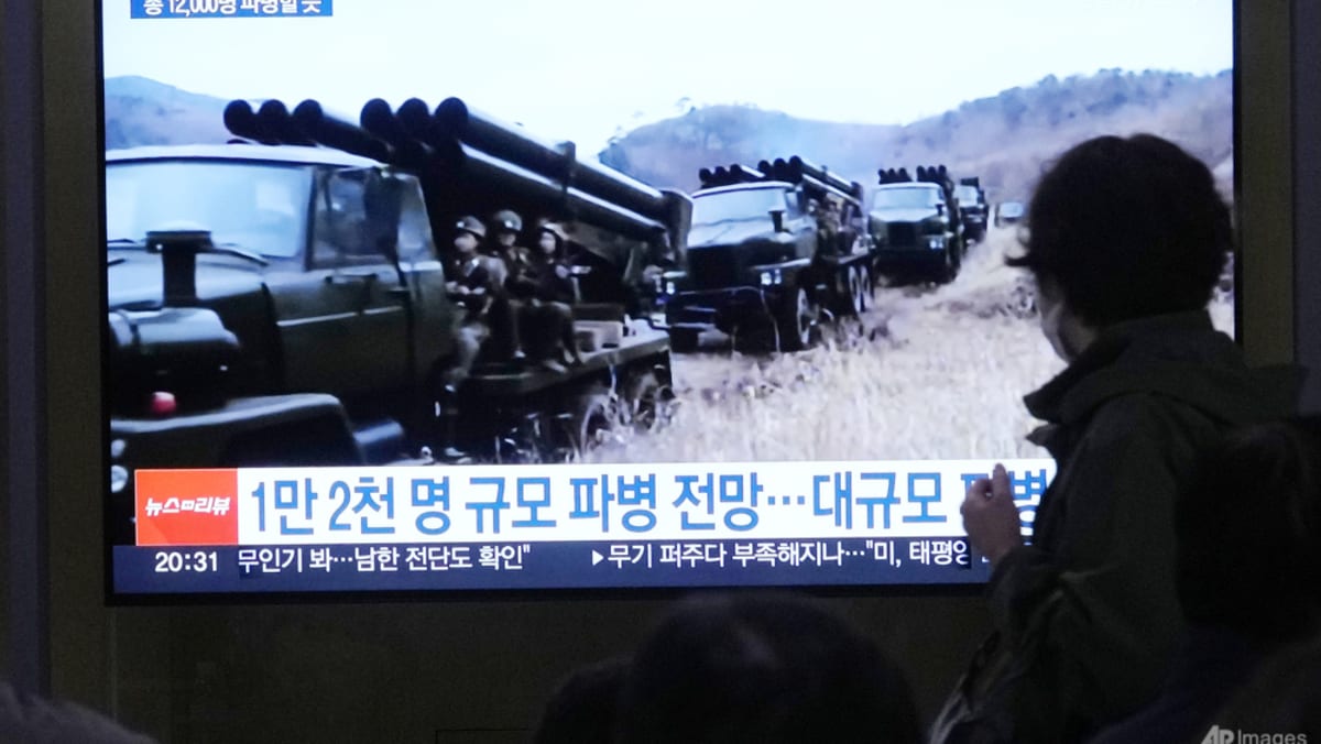 North Koreans suffering battlefield losses, unprotected by Russian forces: Ukraine’s Zelenskyy