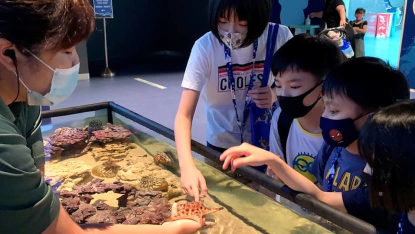 Commentary: It’s a shame redeeming SingapoRediscovers vouchers can be such a hassle Commentary: It’s a shame redeeming SingapoRediscovers vouchers can be such a hassle