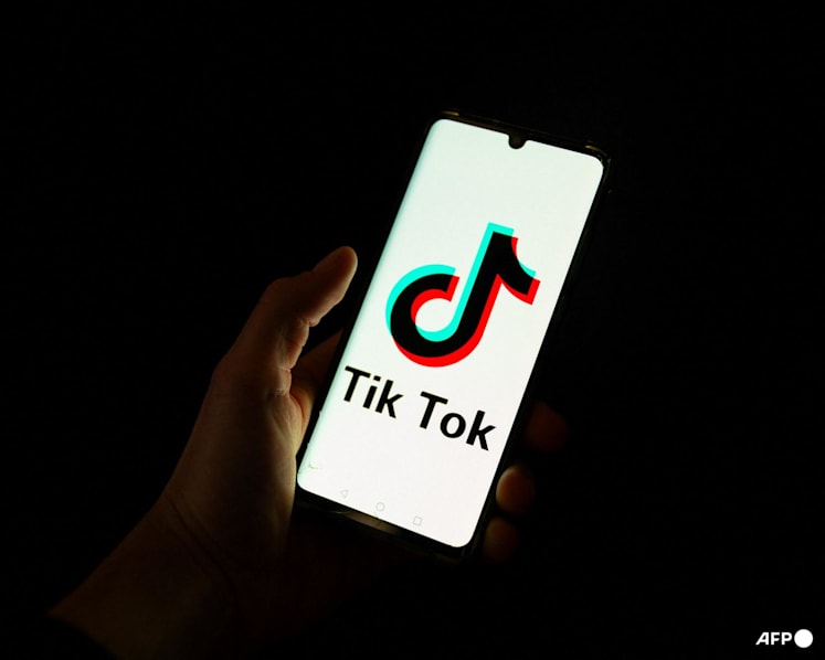 Japan court rules human voice is protected in TikTok AI case