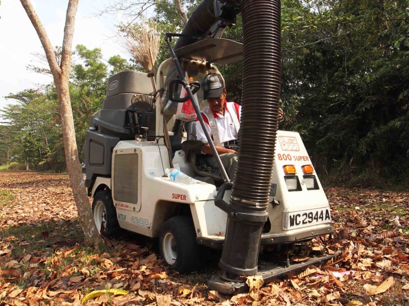NEA steps up efforts to clear leaf litter to control mosquito population