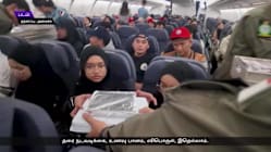 Related article image