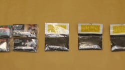 Related article image