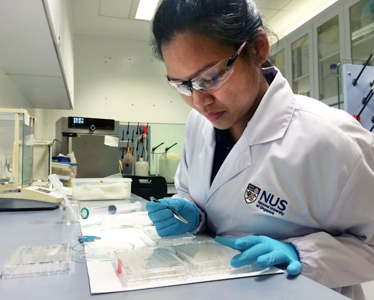 Toxic bacteria found on small pieces of plastic trash from S'pore beaches
