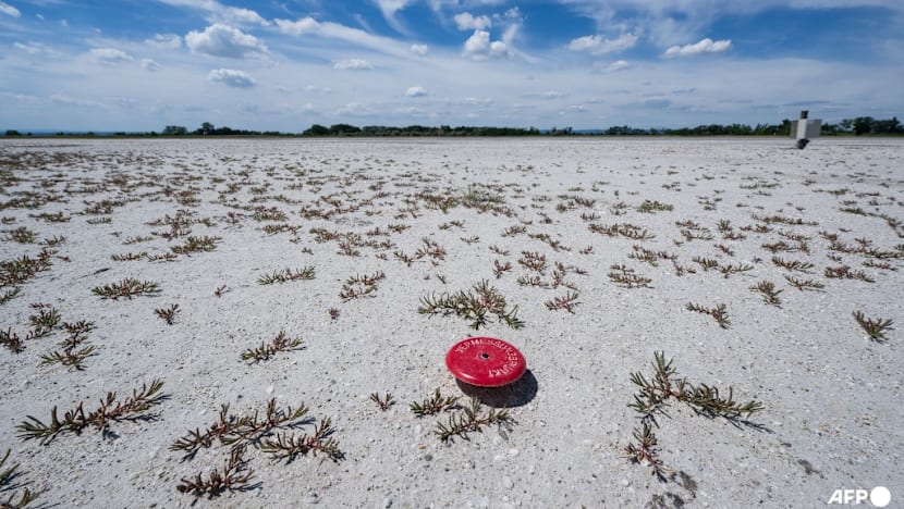 Climate change to blame for intensity of Europe heatwave: Scientists