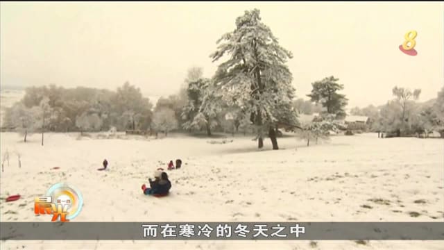 英国迎来冬季第一波寒潮 陆路和航空交通大范围中断