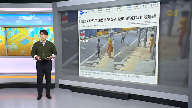狮城有约 | 8分看视界：公路练跑遭撞毙 流浪狗救下险遭侵犯女子