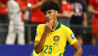 Ibrahimovic offers support to Australia's Herrington after World Cup penalty heartbreak