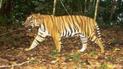 Related article image