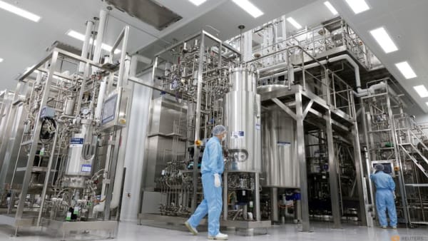 S Korea factory activity suffers worst slump in 2-1/2 years on US tariffs, PMI shows - Channel News Asia (Picture 2)