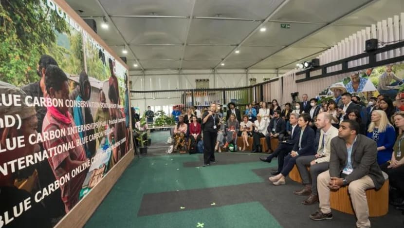 Institut Karbon Biru Antarabangsa dibuka di SG Institut Karbon Biru Antarabangsa dibuka di SG