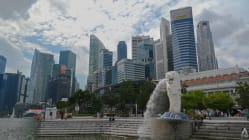 Related article image