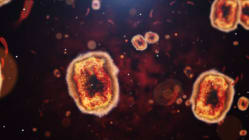 Related article image