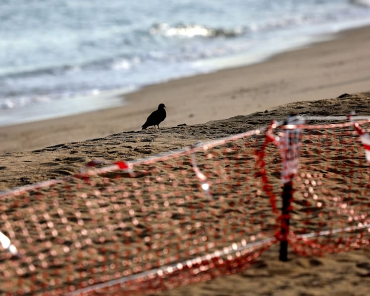 Covid-19: Playgrounds, beaches to reopen at start of Phase 2
