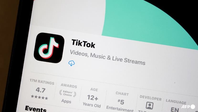 Commentary: Even if TikTok is banned in the US, its users will find alternatives Commentary: Even if TikTok is banned in the US, its users will find alternatives