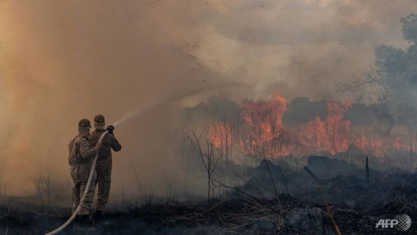 China is hungry for food. The Amazon is left counting the cost China is hungry for food. The Amazon is left counting the cost