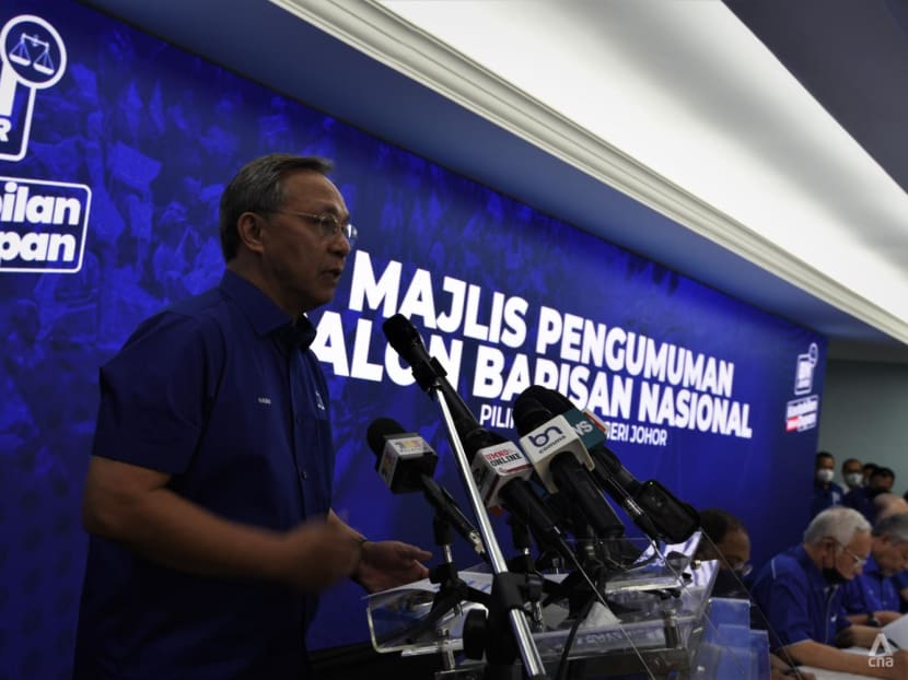 Johor government should be led by younger candidate: Caretaker chief minister